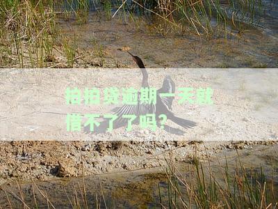 拍拍贷逾期一天就借不了了吗怎么办，逾期一天就不能再借款了？拍拍贷还款问题解决方案