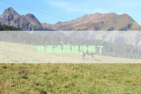 被玖富仲裁怎么办，遭遇玖富仲裁：如何应对并维护自身权益？
