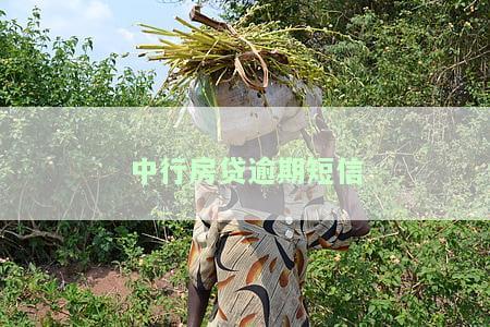 银行房贷逾期短信，警惕！收到银行房贷逾期短信，你该怎么做？