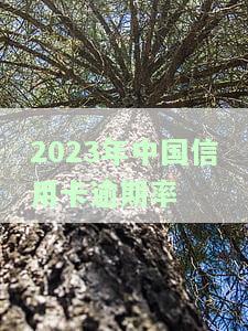 2020年中国信用卡逾期率，透视2020年中国经济：中国信用卡逾期率揭示信贷市场风险