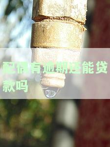 配偶有逾期会影响贷款、信用贷款及房贷申请，双方会相互影响，还可能影响政审。