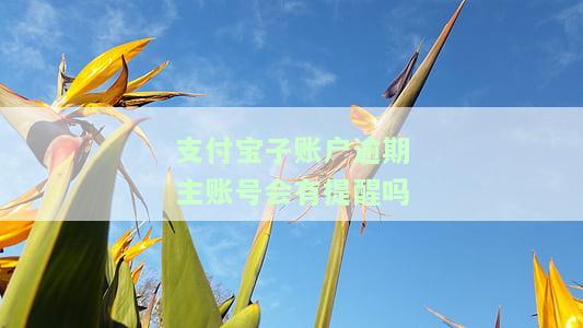 支付宝子账户逾期会影响主账号吗？会有提醒吗？安全性如何？