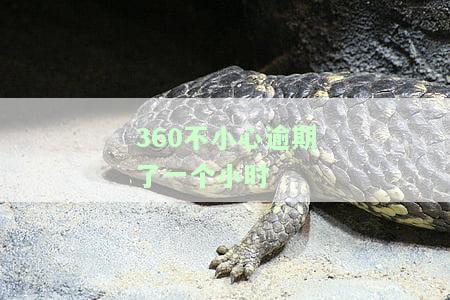 360不小心逾期一个小时怎么还款？逾期一天、一个多星期，还能继续使用吗？