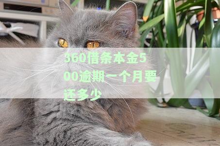 欠300元逾期一个月违约金是多少，计算欠款300元逾期一个月的违约金