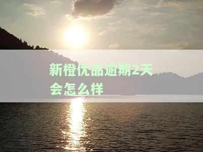 新橙优品：逾期一天后还款，能否继续下款及安全性问题？