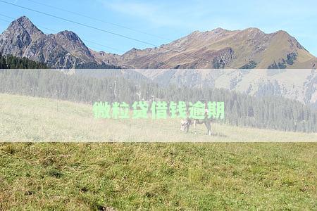 微粒贷借钱逾期没能力还款怎么办，无力偿还微粒贷借款？教你应对逾期问题