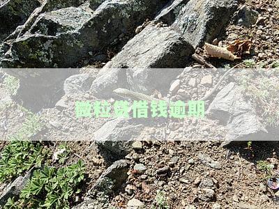 微粒贷借钱逾期一天会影响以后买房贷款吗？了解逾期后果与后续借款可能性