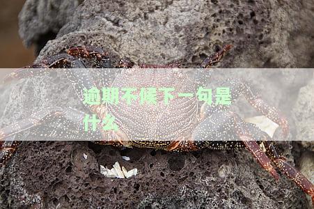 逾期不候的婉转的说法，请勿错过：优雅提醒您期限将至，请尽快处理