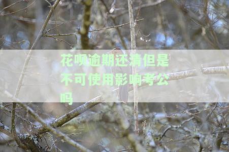 花呗有过逾期，但已还清，对办信用卡有影响吗？