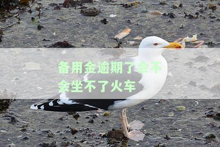 备用金逾期影响坐高铁吗，备用金逾期是否会影响乘坐高铁？