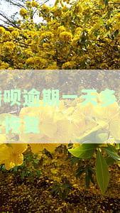 借呗逾期一天能否恢复额度？影响及解决方法
