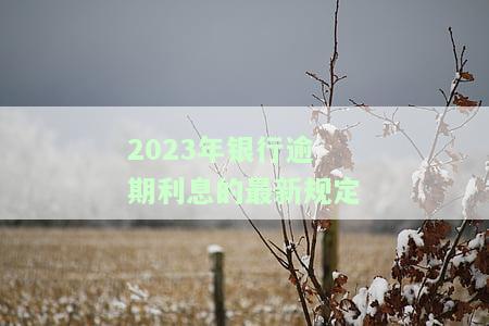 2020银行逾期政策，2020年银行逾期政策解读：影响及应对措