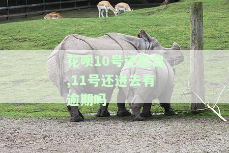 花呗10号还款日：10号可用吗？账单几号出？最晚何时还？