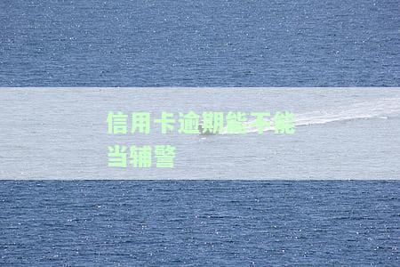 信用卡逾期能不能当辅警-信用卡逾期能不能当辅警呢