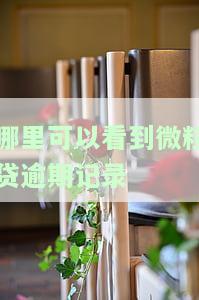微粒贷逾期如何查看总欠款金额？包括被起诉情况