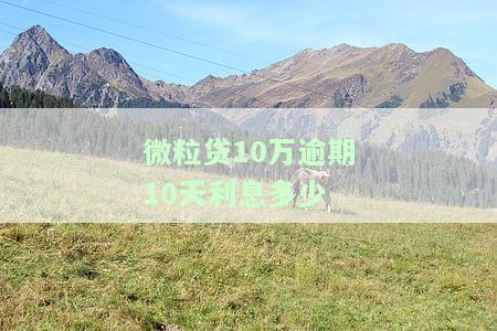 微粒贷十万逾期：可能被起诉，会产生何种后果？如何解决？已逾期90天或更多，是否可能通过公安局立案？