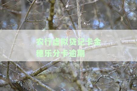 60期农行金穗乐分卡，农行金穗乐分卡：您的60期分期付款解决方案