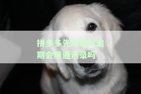 拼多多先用后付逾期会打电话吗，拼多多先用后付逾期是否会有电话催收？