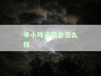 羊小咩逾期会怎么样？影响信用、额度及审批结果