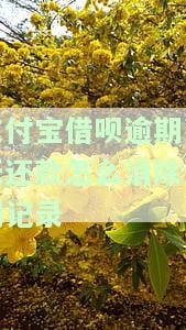 支付宝借呗不小心逾期一天还款怎么办，如何处理支付宝借呗逾期一天的还款问题？