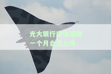 光大银行房贷逾期一天怎么办，紧急应对：光大银行房贷逾期一天的处理方法