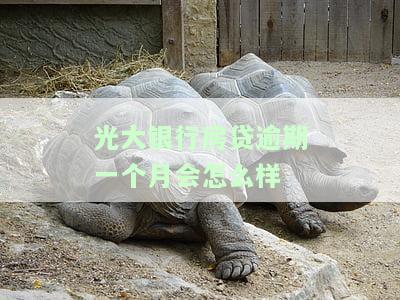 光大银行房贷逾期一天,还会自动扣款吗，光大银行房贷：逾期一天是否会自动扣款？
