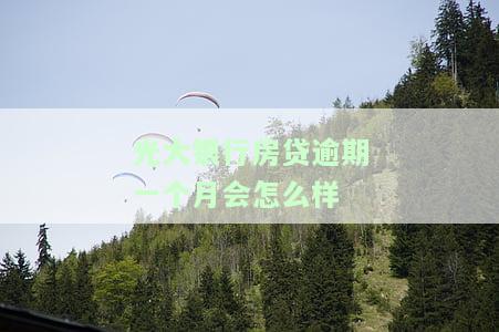光大住房贷款逾期一天政策：影响信用及征信吗？