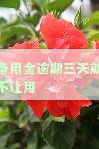 备用金逾期三天不让用了，备用金逾期三天后被冻结，无法使用