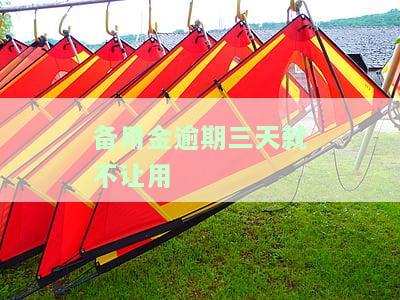 备用金逾期3天：是否上征信、停用多久、能否继续使用及恢复时间说明