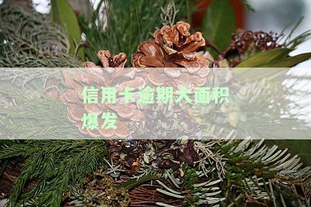 探究2020年信用卡大量逾期原因、案例及解决办法，深度分析逾期问题严重性及影响人数，展望2021年信用卡逾期趋势