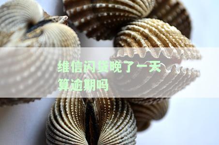 维信闪贷晚了一天算逾期吗