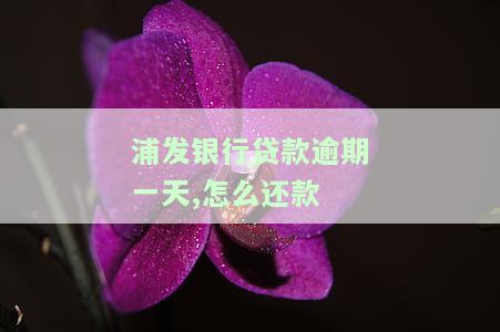 浦发银行贷款逾期一天：如何补救及避免上征信？最划算的还款方式是什么？是否会自动扣款？