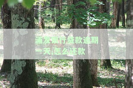 浦发银行贷款一天还款补救办法，浦发银行贷款：一天还款的补救措