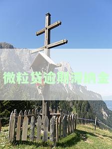 微粒贷逾期滞纳金多少，了解微粒贷逾期滞纳金：你需要知道的费用详情