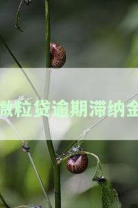微粒贷滞纳金合法吗？如何计算及最多能收多少？