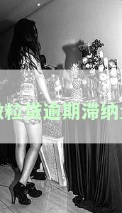 微粒贷逾期滞纳金-微粒贷逾期滞纳金最多能收多少