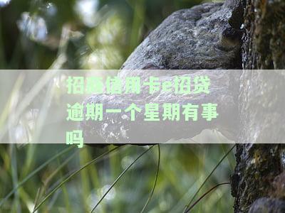 招商银行信用卡e招贷逾期一天会否上征信？解答与建议