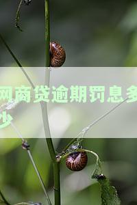 网商贷逾期费用多少，深入了解网商贷逾期费用：如何计算和避免额外支出？