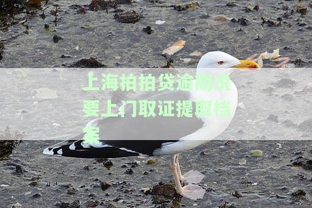 上海拍拍贷逾期说要上门取证提取档案-上海拍拍贷逾期说要上门取证提取档案是真的吗