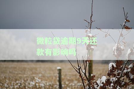 微粒贷逾期9天还款有影响吗-微粒贷逾期9天还款有影响吗怎么办
