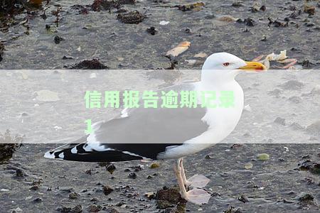 信用报告逾期记录消除了，恭喜！您的信用报告逾期记录已成功消除！