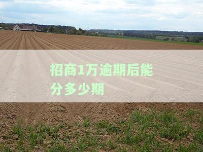 招商1万逾期后能分多少期-招商逾期一万二