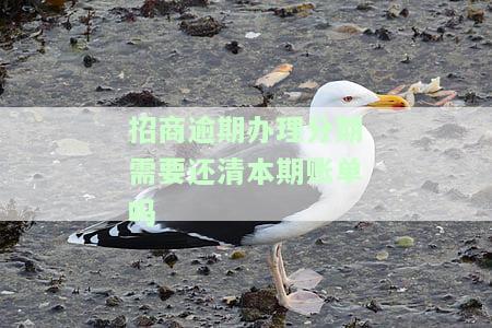 招商逾期1年可以商量分期吗，招商逾期一年，能否申请分期还款？