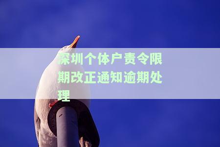 深圳个体户逾期未报税罚款多少，深圳个体户逾期未报税罚款标准公布！