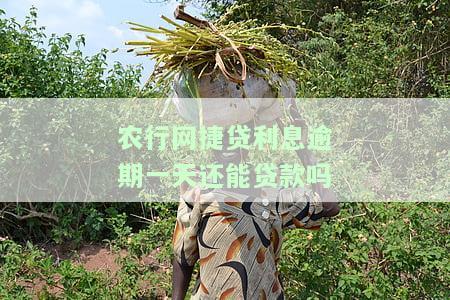 农行网捷贷利息逾期一天还能贷款吗多少钱，农行网捷贷：利息逾期一天是否影响再次贷款？额度多少？