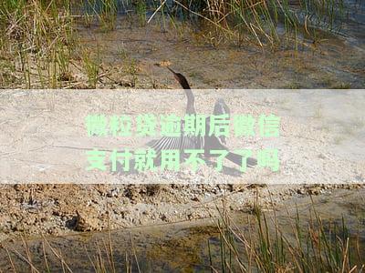 微粒贷逾期后，微信支付能否继续使用？会对微信钱包产生影响吗？