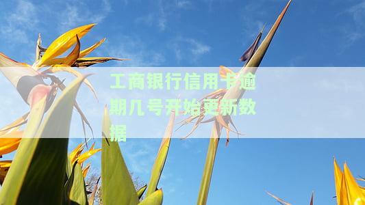 工商银行逾期记录几号更新，查询工商银行逾期记录更新日期，你了解吗？