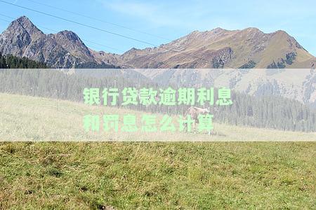 银行贷款逾期利息和罚息怎么计算出来的，揭秘银行贷款逾期利息和罚息的计算方法