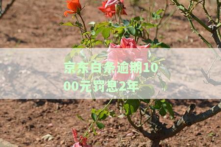 逾期1000元罚息2年是真的吗？后果严重吗？