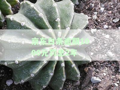 逾期1000元罚息2年的金额是多少？逾期一个月、一年有何影响？